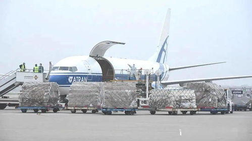 日用品正式開通 讓生活更便捷、更優(yōu)質(zhì)